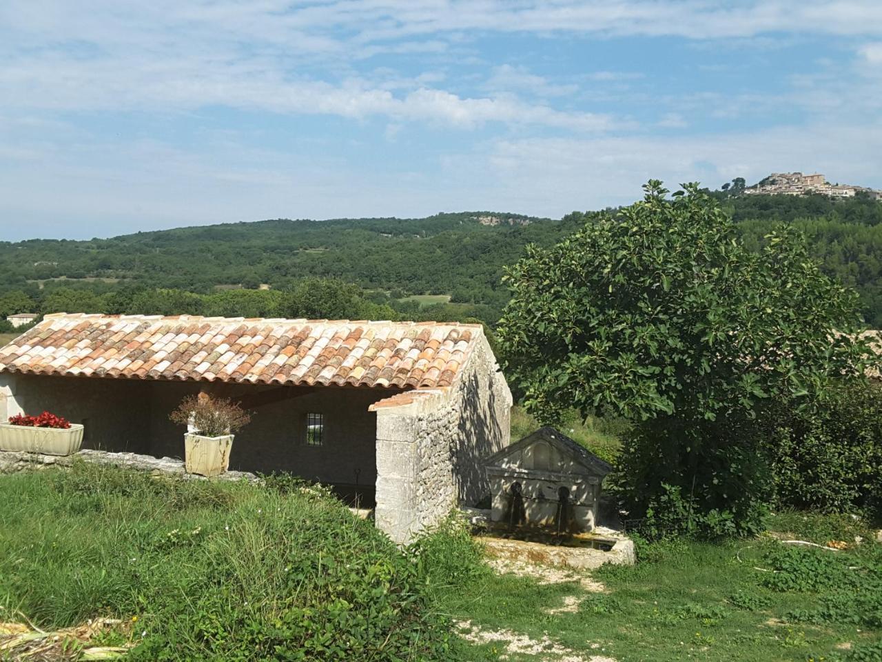 La Boissetane, Maison Provencale Avec Piscine Et Jardin, Au Pied Du Luberon Saint-Martin-de-Castillon Exterior foto